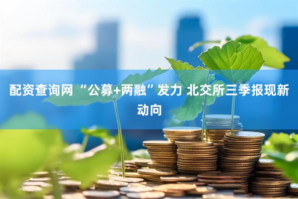 配资查询网 “公募+两融”发力 北交所三季报现新动向