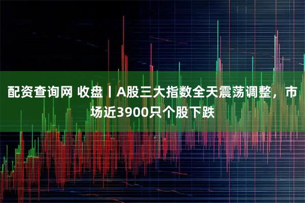 配资查询网 收盘丨A股三大指数全天震荡调整,市场近3900只个股下跌
