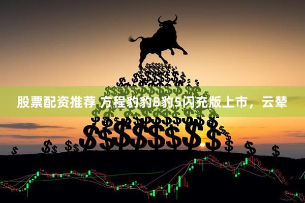 股票配资推荐 方程豹豹8豹5闪充版上市，云辇